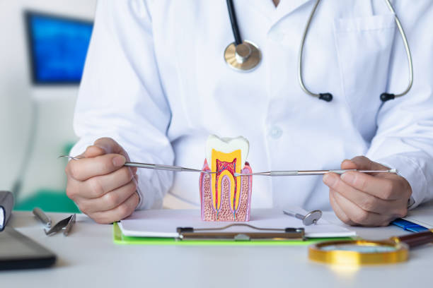 Best Emergency Dental Surgery in Bon Secour, AL